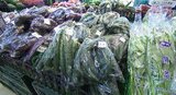 「メリハリ型の梅雨」が野菜の価格に影響?大雨と猛暑が繰り返されると…キャベツなど葉物野菜は値上がりの可能性も!?|TBS NEWS DIG