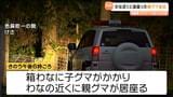 銃声響き…わなの子グマ守る親グマを駆除 職員らが夜通し警戒 宮城・色麻町|TBS NEWS DIG
