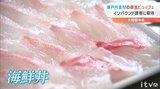 道後のホテルに「瀬戸内食材の朝食ビュッフェ」　インバウンド誘客に期待　愛媛|TBS NEWS DIG