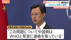 中国で「チクングニア熱」感染急増　蚊が広める感染症 重症例も　中国政府「WHOと緊密に連絡」| TBS CROSS DIG with Bloomberg