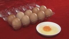 たまごの卸価格が3か月ぶりに値下がり　鳥インフルエンザ「清浄化宣言」が影響か| TBS CROSS DIG with Bloomberg