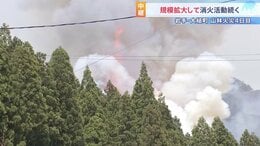 岩手・大槌町の山林火災4日目　1000人超の緊急消防援助隊の活動本格化　鎮圧に向けた先行き見通せず|TBS NEWS DIG