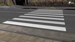 自転車の16歳高校生、横断歩道ではねられ死亡　車を運転の男を過失運転傷害容疑で逮捕＝静岡県警|TBS NEWS DIG