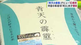 「青天の霹靂」10月10日で市場デビュー10周年　発売直後は県内で「売り切れ」続出　東京銀座・三越の店頭も独占　そして試練が…　今年はもう一度「特A」に　再起への新たな道のり|TBS NEWS DIG