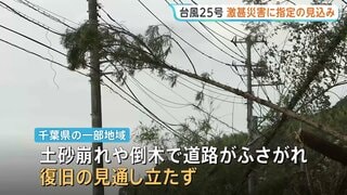 停電続く千葉県 午後1時時点で約1万600軒　土砂崩れや倒木で復旧見通し立たず| TBS CROSS DIG with Bloomberg