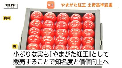 やまがた紅王』出荷基準の見直しへ 「紅王＝大玉」の方針は崩さず