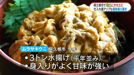 阿久根市「うにと阿久根の旬まつり」 ことしのウニは身入りよく甘味