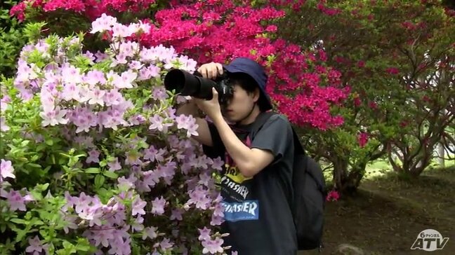 八戸南部氏庭園で春の一般公開 園内はツツジが咲き誇る 青森県八戸市|TBS NEWS DIG