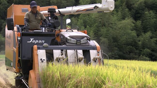 今年の新米の出来は？　過去最高額に引き上げられた概算金で農業経営はどうなる【岡山】|TBS NEWS DIG