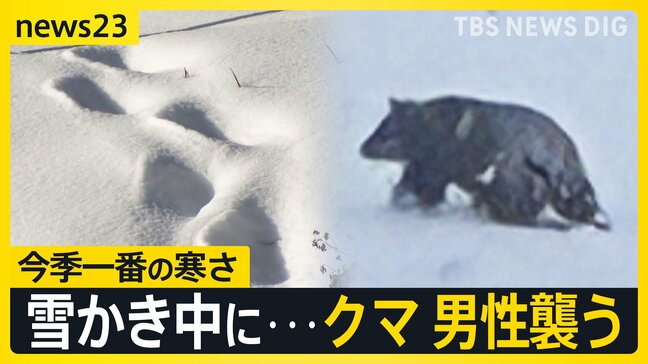 “最強寒波”到来！各地で初雪を観測 「1か月予報発表」クリスマス・年末年始の天気は？雪かき中のクマ被害も発生【news23】|TBS NEWS DIG