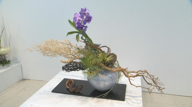 人間国宝内定の陶芸家・中田一於さんも出品 地元・石川の陶芸家と華道家 美の共演「九谷と花 選抜出合い展」金沢エムザで13日まで開催|TBS NEWS DIG