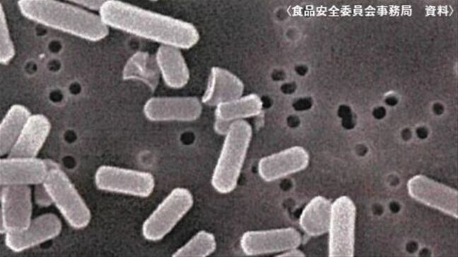カレーなど加熱・煮込み料理で食中毒　原因のウエルシュ菌　知っておきたい基礎知識と対策|TBS NEWS DIG