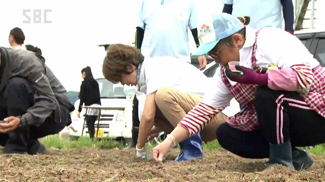 「遊休農地の活用を」台風19号の被災地でソルガムを栽培|TBS NEWS DIG