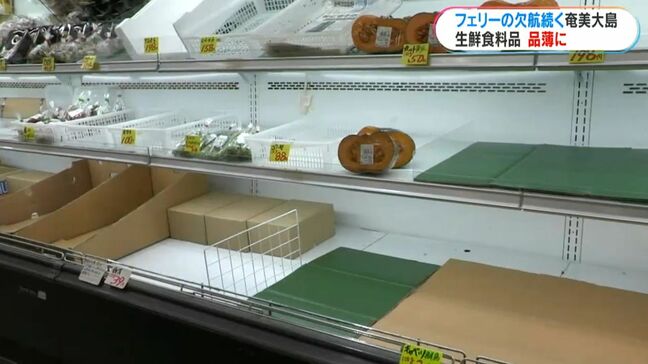「進路が変わって発注が追いつかず」台風10号で欠航続く 奄美大島で生鮮食料品が品薄状態 鹿児島|TBS NEWS DIG