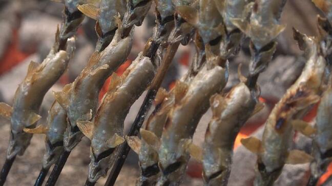 「頭からかじって食べられる」アユ漁解禁で専門店　入荷あれば天然モノも　富山・砺波市|TBS NEWS DIG