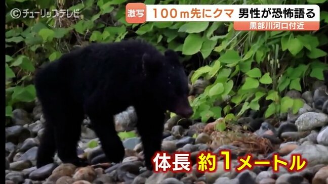 富山湾、黒部川河口にクマ出没「まさかこんな場所に…」野鳥撮影中の男性が捉えた恐怖の瞬間　富山・黒部市|TBS NEWS DIG