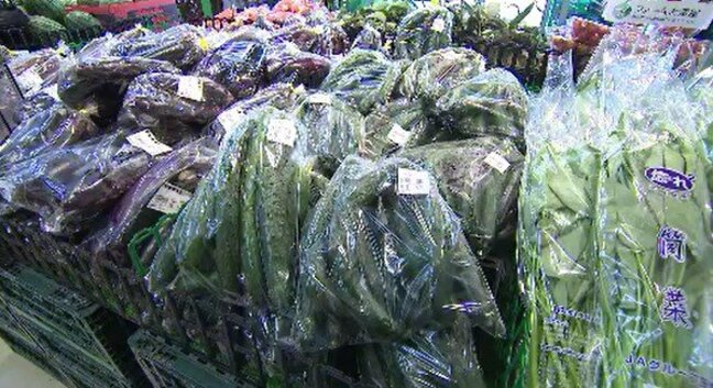 「メリハリ型の梅雨」が野菜の価格に影響？大雨と猛暑が繰り返されると…キャベツなど葉物野菜は値上がりの可能性も!?|TBS NEWS DIG