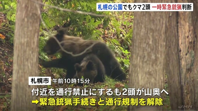 札幌市の公園に子グマ2頭居座る ハンターが発砲できる「緊急銃猟」発表も山奥へ去り解除 ヒグマ出没相次ぐ西区の公園|TBS NEWS DIG