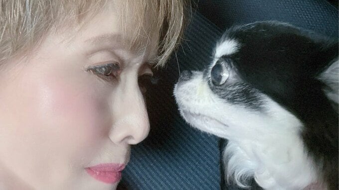 【 小柳ルミ子 】　愛犬ルルとの別れに　「今も毎日　涙が止まらない」「もう49日なのか　まだ49日なのか」　|TBS NEWS DIG