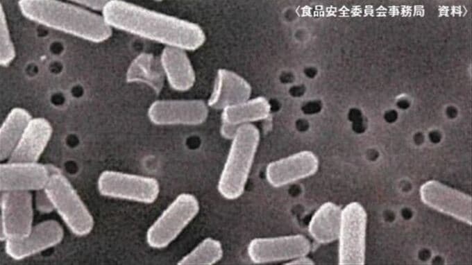 カレーなど加熱・煮込み料理で食中毒　原因のウエルシュ菌　知っておきたい基礎知識と対策　|　山梨のニュース | ＵＴＹテレビ山梨