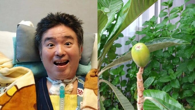 【 ALS闘病 】声優・津久井教生さん　“ベランダ果実”を紹介「かなり大きくなってきました～」「なんか可愛いのです♡」【ニャンちゅう】|TBS NEWS DIG