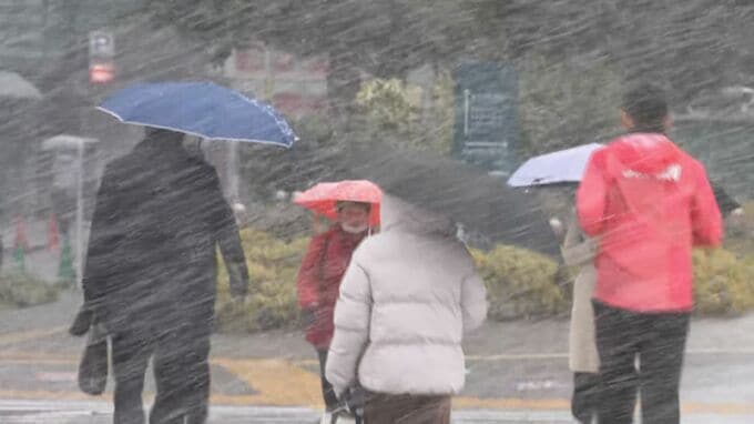 【大雪情報】東海地方　今後の雪の予想　平野部の雪は25日朝までがピーク|TBS NEWS DIG