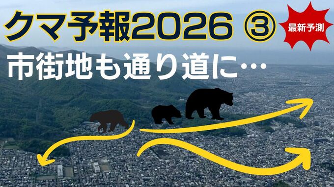 【クマ予報】去年の大量出没エリアは「雨」のち「くもり」へ？札幌・エリア別最新予測…過去最多363件の衝撃から1年　札幌の出没エリア拡大と今すぐできる対策|TBS NEWS DIG