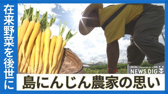 在来野菜をどう守る　受け継がれてきた自家採種、次世代につなげたい「島にんじん」の魅力|TBS NEWS DIG