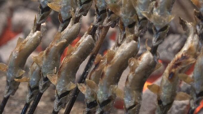 「頭からかじって食べられる」アユ漁解禁で専門店　入荷あれば天然モノも　富山・砺波市　|　富山のニュース｜天気・防災｜チューリップテレビ