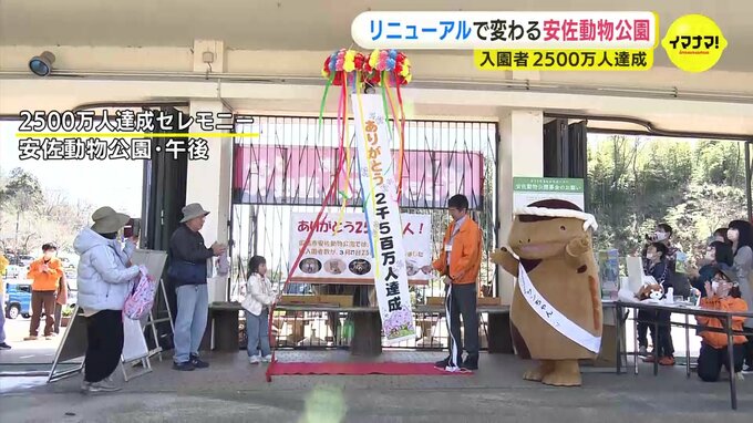 来園者2500万人達成！　開園から半世紀経ち大規模リニューアル進行中　やがては世界三大珍獣・コビトカバを迎えて…安佐動物公園・広島　|　RCC NEWS | 広島ニュース | RCC中国放送