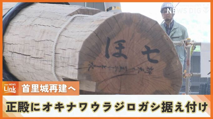 2026年の再建に向け　首里城正殿に長さ6.4メートル、重さ1トンの県産オキナワウラジロガシを据え付け　|　沖縄のニュース｜RBC 琉球放送