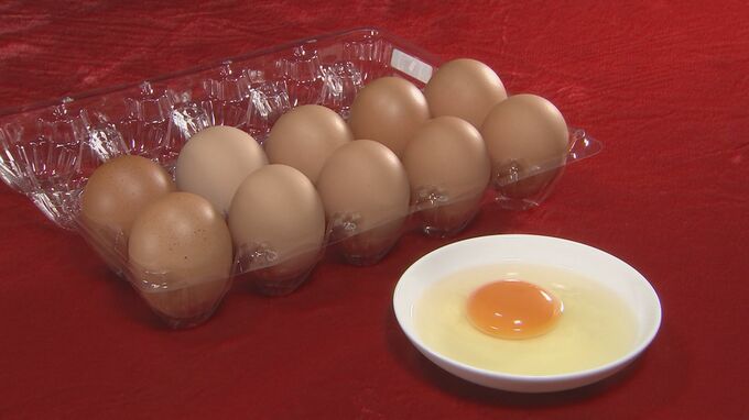 たまごの卸価格が3か月ぶりに値下がり　鳥インフルエンザ「清浄化宣言」が影響か
