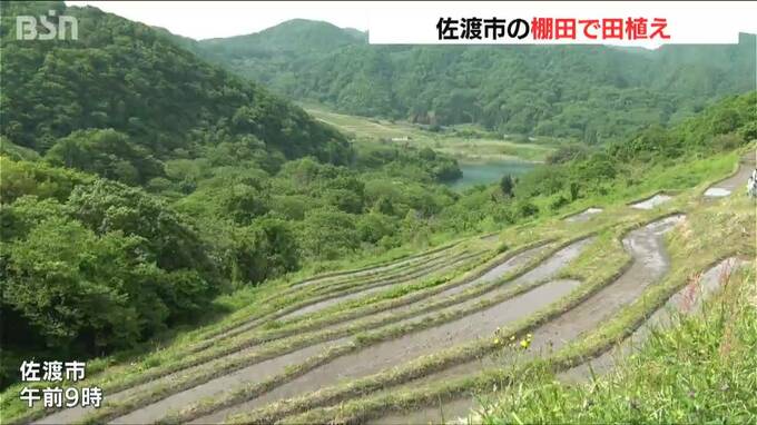 2008年に復活　急傾斜地の棚田「小倉千枚田」で田んぼオーナー参加して田植え　新潟・佐渡市|TBS NEWS DIG