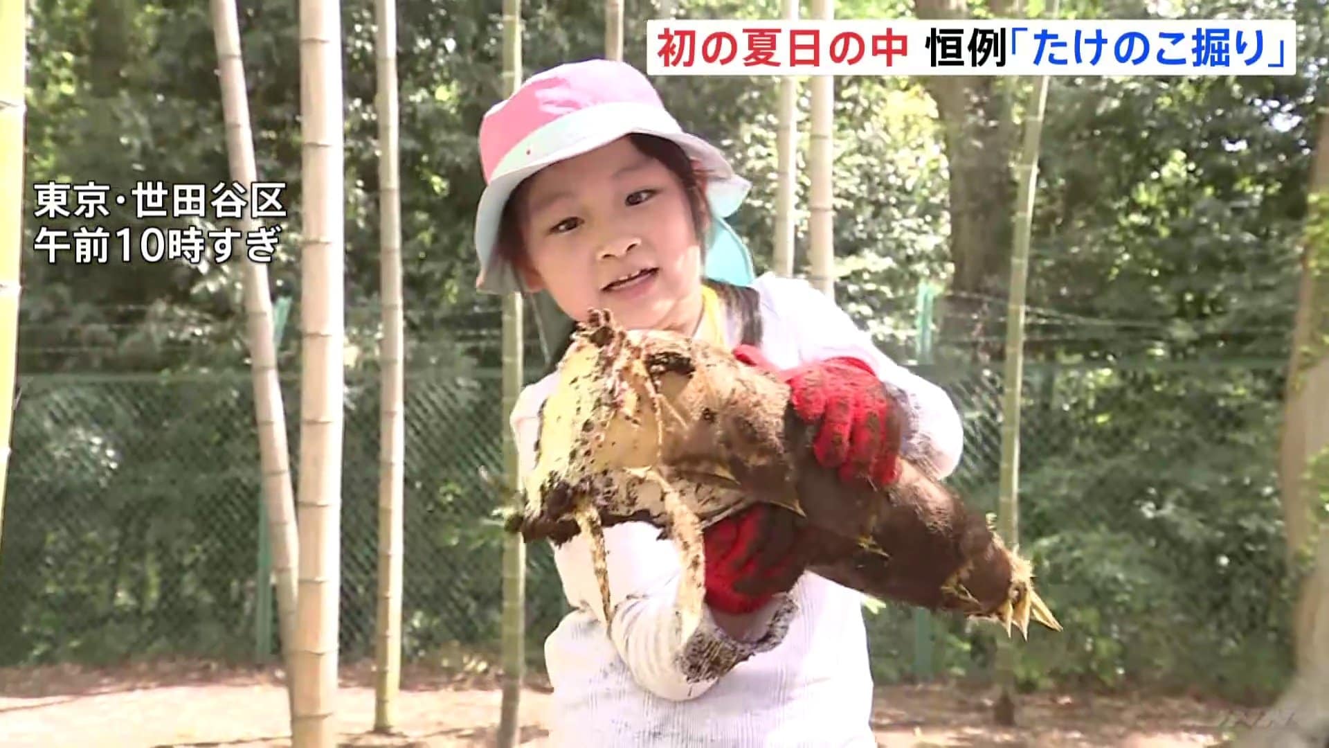 重い！重い！」毎年恒例のタケノコ掘り 親子42人が参加 東京・等々力
