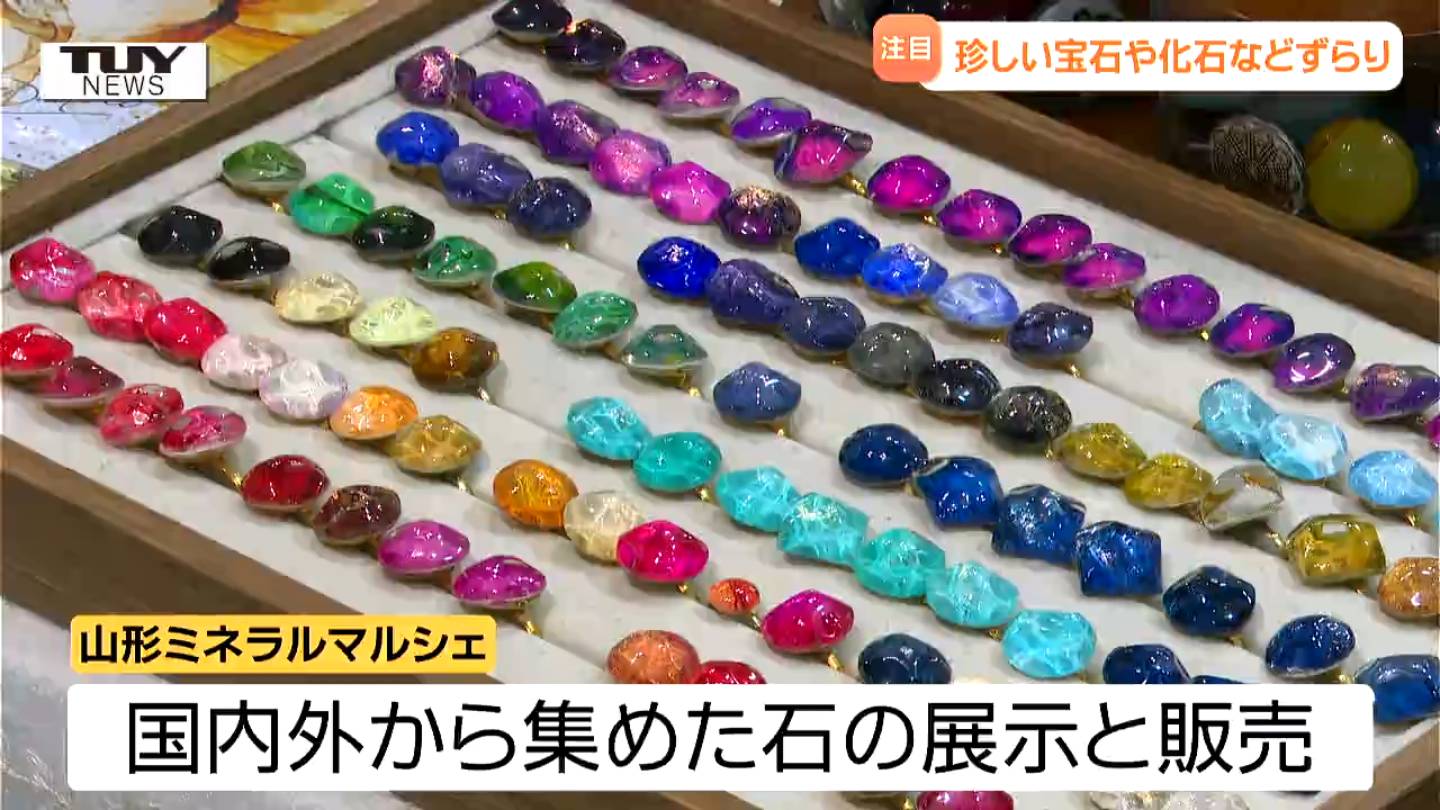 宝石、化石、隕石…キラキラした貴重な石などが世界中から大集合！期間