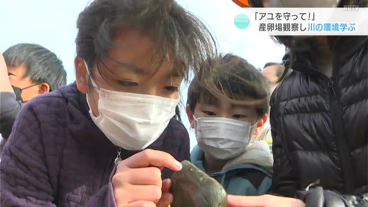 「アユを守って！」高知・香美市の小学生が産卵場を観察　物部川の環境学ぶ