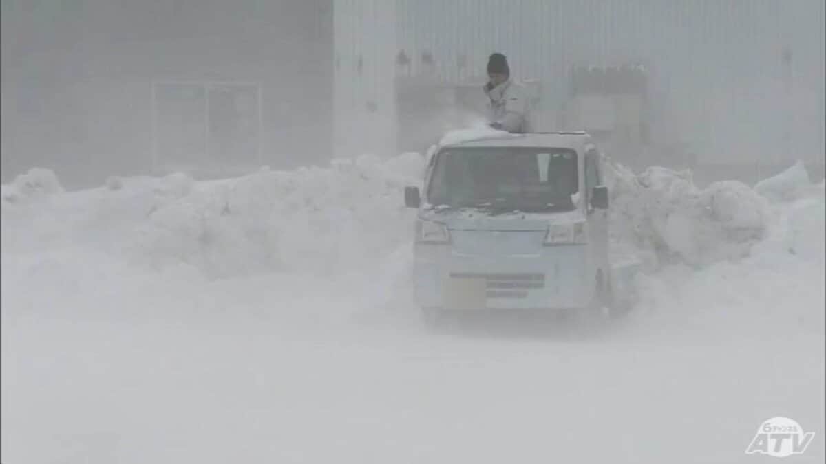 img_0e2d2b9dea452a5b0682d936a4