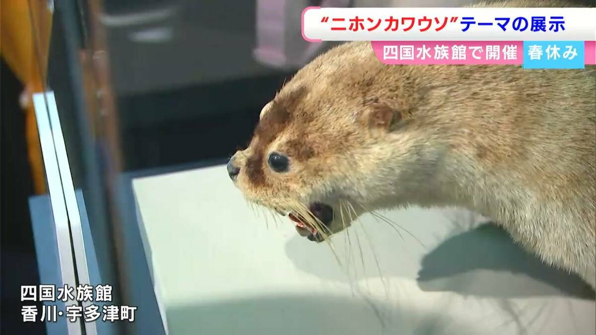 img_0e7caf7ad161035809a77024e7