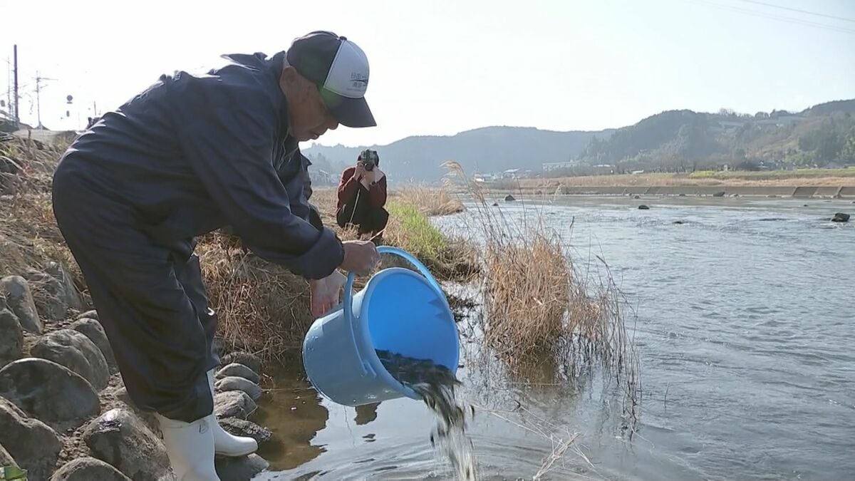 アユの稚魚37万匹を放流　5月20日の解禁に向け準備着々　大分・日田市