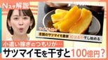 干し芋が人気 サツマイモを干すと…100億円の価値? 業界期待の品種「ハロウィンスイート」とは【Nスタ解説】|TBS NEWS DIG