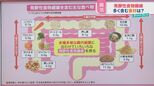 あなたの「腸年齢」は何歳?今すぐ分かるチェックリスト ブランやもち麦…意識して摂りたい‟発酵性食物繊維”とは【ひるおび】|TBS NEWS DIG