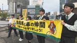 「ヘルメットかぶっていると思うけど」5月の自転車月間にあわせ高校生ら呼びかけ　大分|TBS NEWS DIG