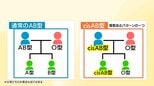 「この子は誰の子…」血液型の遺伝が招く家族トラブルも　A型でもB型でもO型でもAB型でもない“cisAB型”とは　|　愛媛のニュース - Nスタえひめ｜あいテレビは6チャンネル