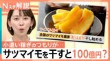 干し芋が人気 サツマイモを干すと…100億円の価値？ 業界期待の品種「ハロウィンスイート」とは【Nスタ解説】|TBS NEWS DIG