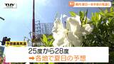 きょうの県内は各地で汗ばむ陽気に あすの日中はさらに気温が上がる見込み(山形) | 山形のニュース│TUYテレビユー山形