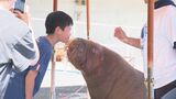 3連休最終日、最高気温30度下回る 絶好の行楽日和 観光地にぎわう 大分 | 大分のニュース|OBS NEWS|大分放送