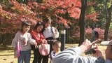 日田市の蒸留所で紅葉祭　　|　大分のニュース｜OBS NEWS｜大分放送