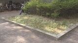 除染土の再利用 仙台市・さいたま市でも 地元は「もう少し早く進むのかと…」|TBS NEWS DIG