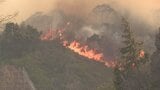 激しく燃える山肌…今治の山火事は現在も延焼中 219世帯に避難指示 愛媛 | 愛媛のニュース - Nスタえひめ|あいテレビは6チャンネル