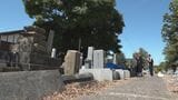 震災から3度目の旧盆を迎えた奥能登の寺 墓全壊の境内で住職「檀家が戻れない」|TBS NEWS DIG